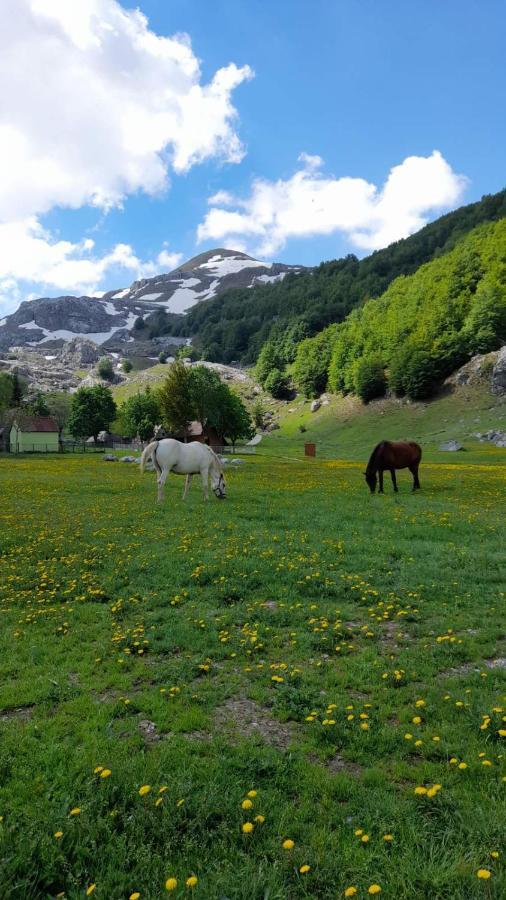 Katun Mokra Accommodation & Horseback Riding Podgorica Exterior photo