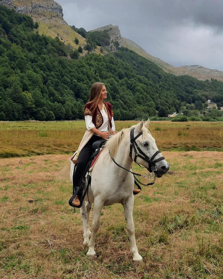 Katun Mokra Accommodation & Horseback Riding Podgorica Exterior photo