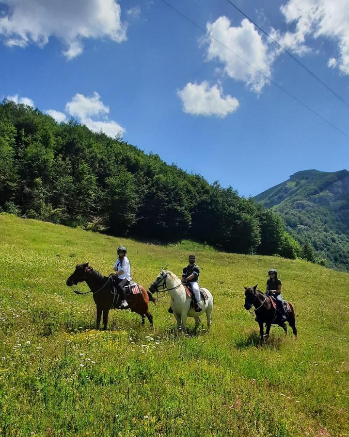 Katun Mokra Accommodation & Horseback Riding Podgorica Exterior photo