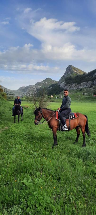 Katun Mokra Accommodation & Horseback Riding Podgorica Exterior photo