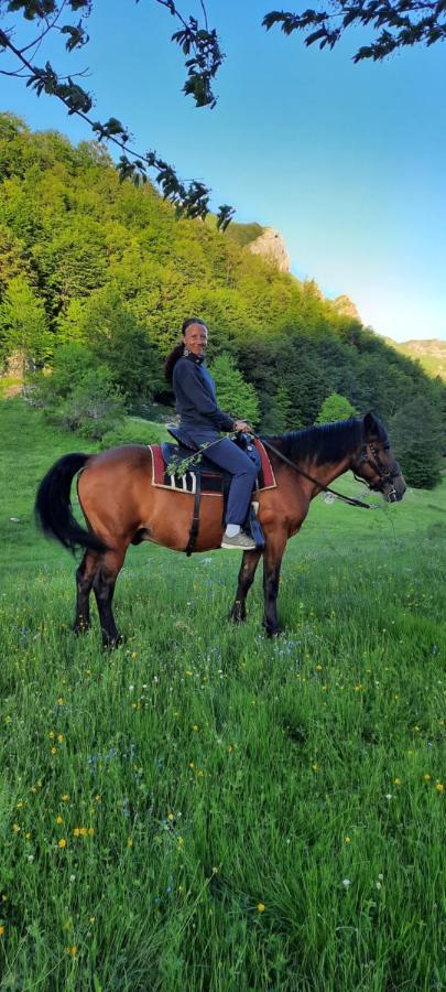 Katun Mokra Accommodation & Horseback Riding Podgorica Exterior photo