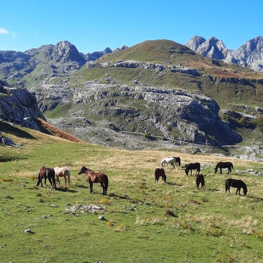 Katun Mokra Accommodation & Horseback Riding Podgorica Exterior photo