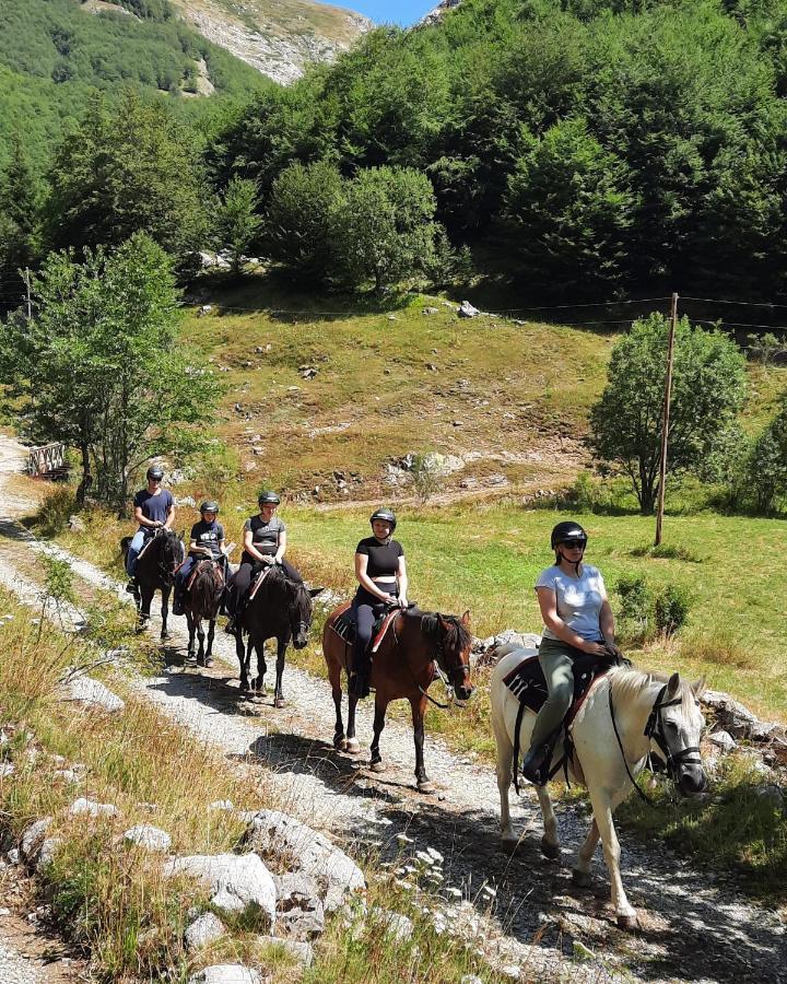Katun Mokra Accommodation & Horseback Riding Podgorica Exterior photo