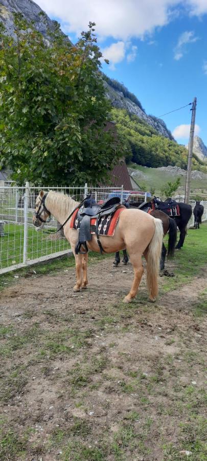 Katun Mokra Accommodation & Horseback Riding Podgorica Exterior photo
