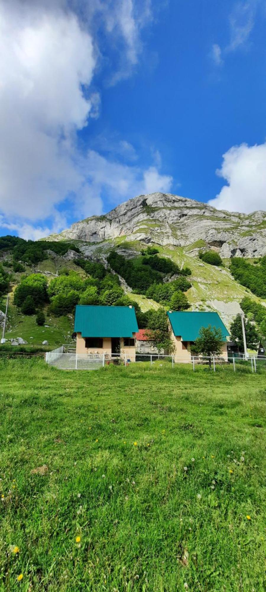 Katun Mokra Accommodation & Horseback Riding Podgorica Exterior photo
