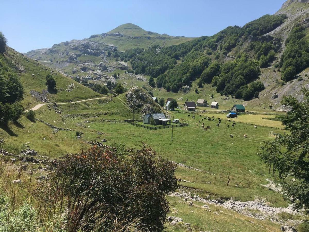 Katun Mokra Accommodation & Horseback Riding Podgorica Exterior photo